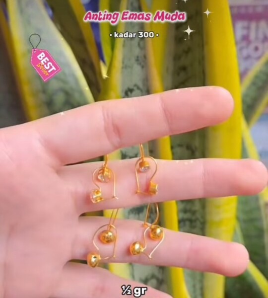 Golden Loop Daily 300