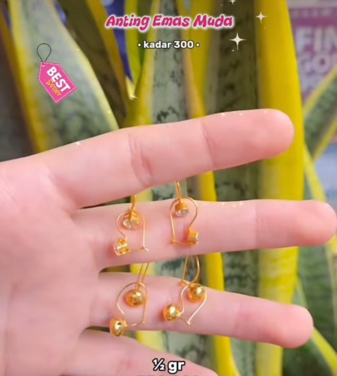 Golden Loop Daily 300