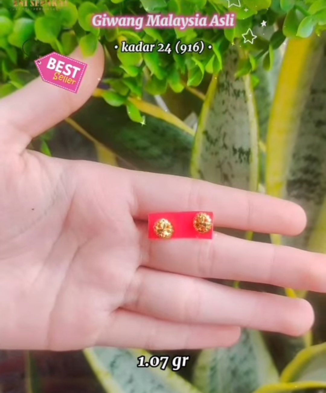 Giwang Malaysia asli